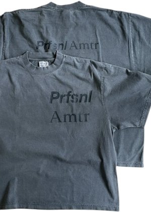 画像1: Ddd. Prfsnl Amtr Garment Drop Tee (Graphite) [7,000+税] 