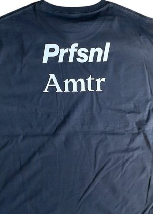 画像6: Ddd. Prfsnl Amtr Box Tee (Graphite) [6,000+税] 