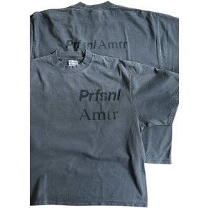 画像: Ddd. Prfsnl Amtr Garment Drop Tee (Graphite) [7,000+税] 
